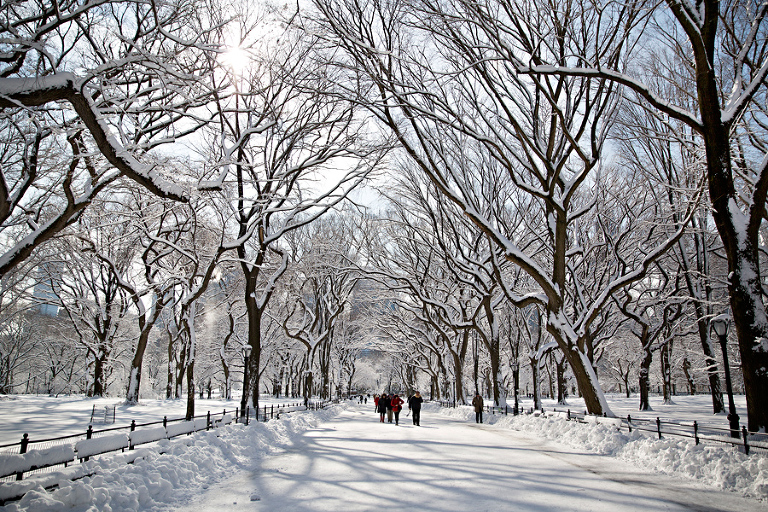 NYC201420140204_0152