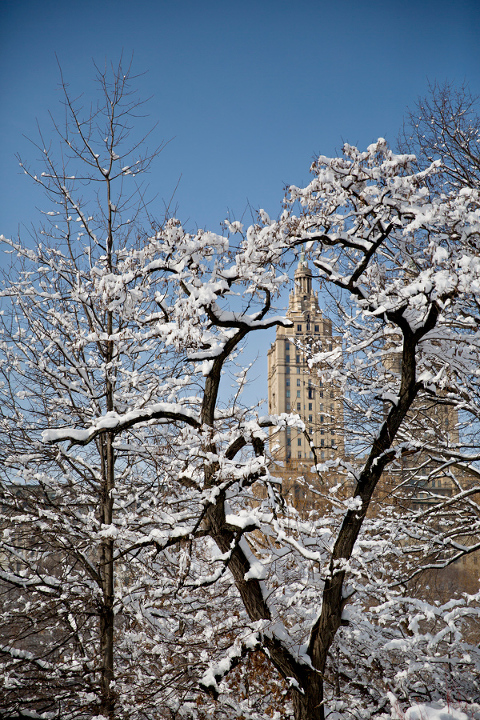 NYC201420140204_0231