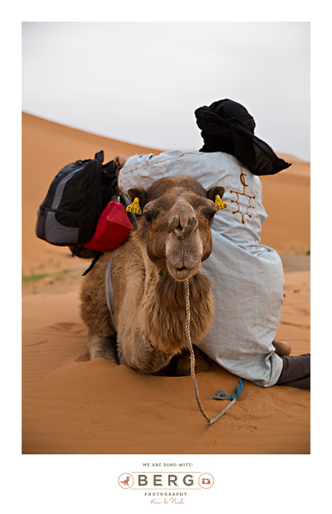 Destination photographers Morocco (62)