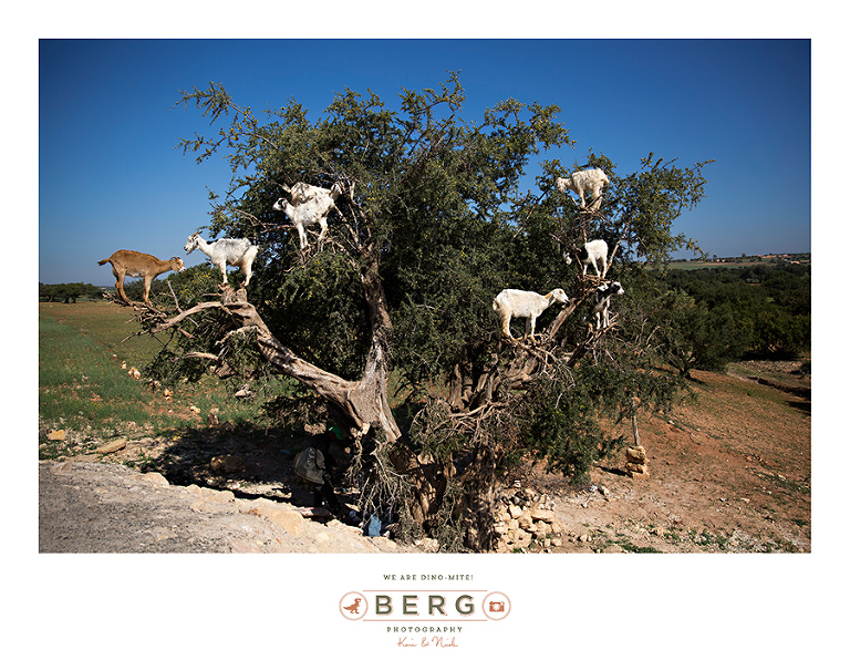 Destination photographers Morocco (74)