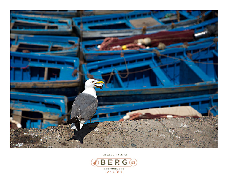 Destination photographers Morocco (85)