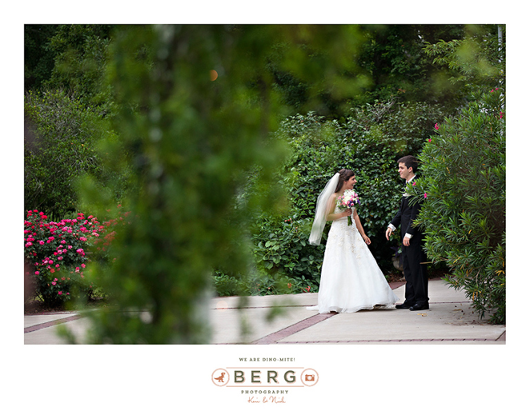 Hedgepeth20140621_1818