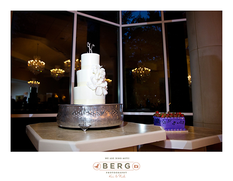 Ashton-Gardens-Dallas-Texas-Wedding-Photographers-(7)