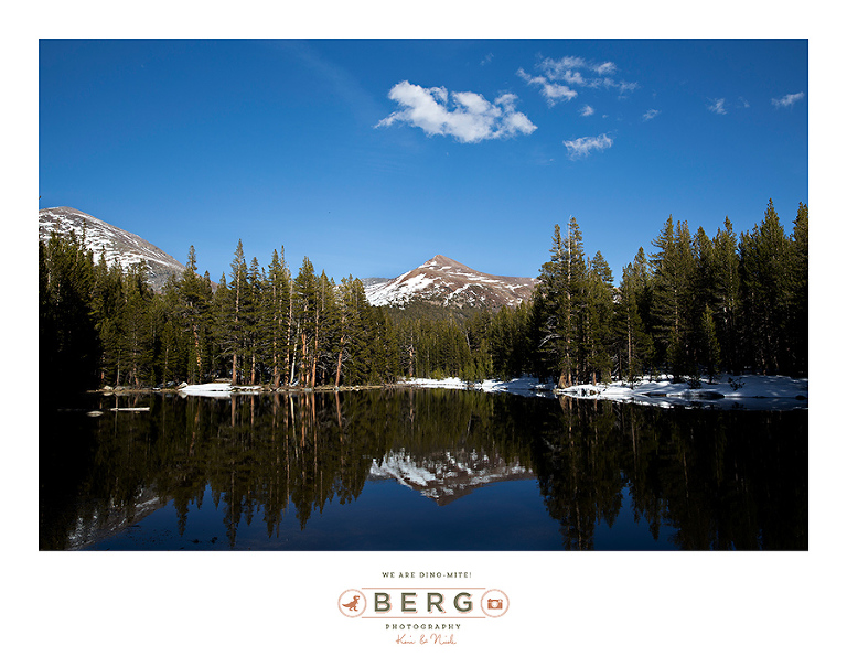 Yosemite National Park  (13)