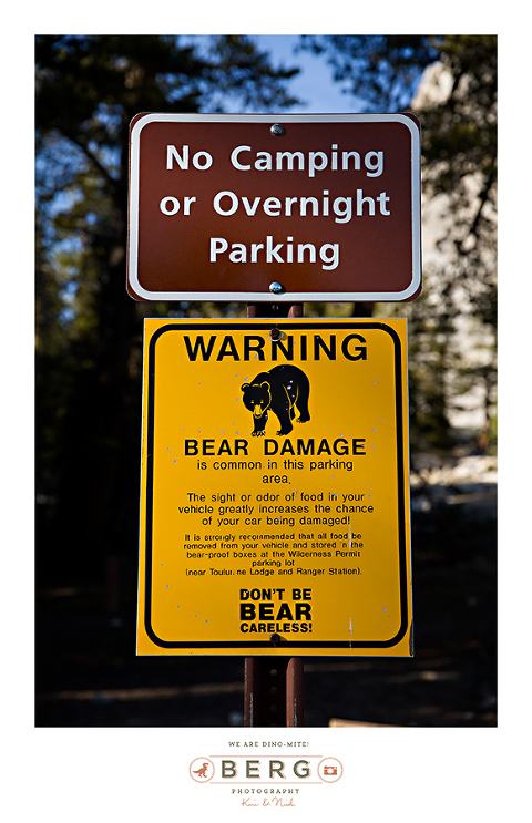 Yosemite National Park  (14)