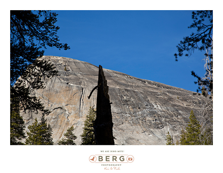 Yosemite National Park  (15)