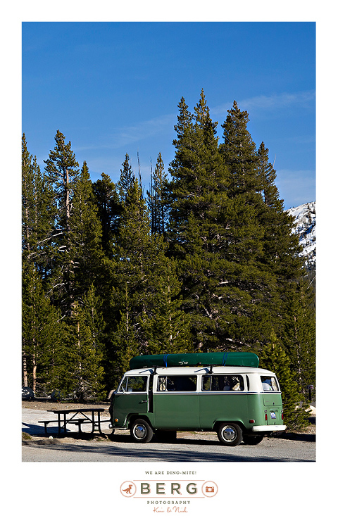 Yosemite National Park  (16)