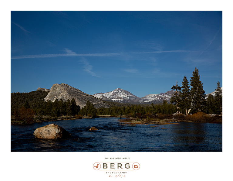 Yosemite National Park  (17)