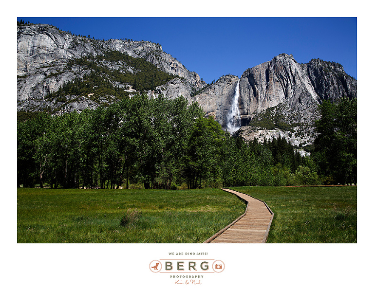 Yosemite National Park  (2)