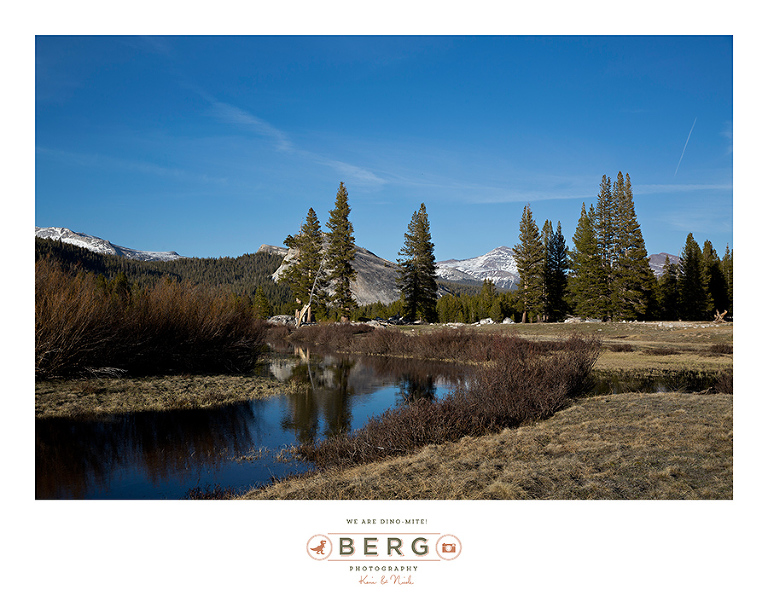 Yosemite National Park  (20)