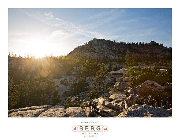 Yosemite National Park  (23)