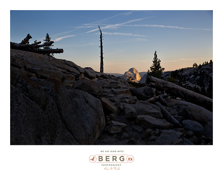 Yosemite National Park  (25)