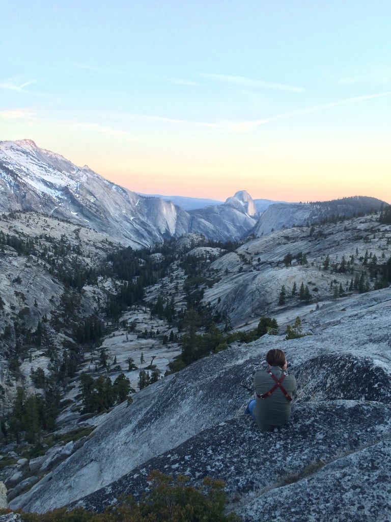 Yosemite National Park  (28)