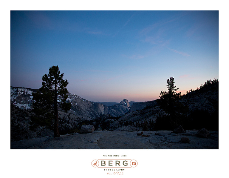 Yosemite National Park  (29)