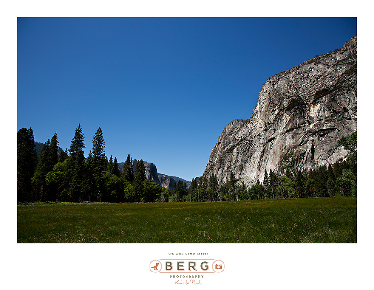 Yosemite National Park  (3)