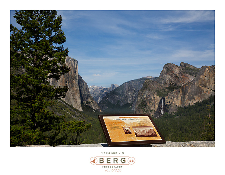 Yosemite National Park  (33)