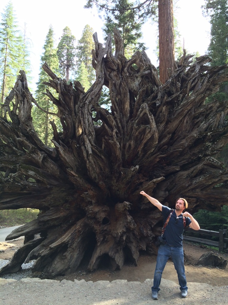 Yosemite National Park  (37)