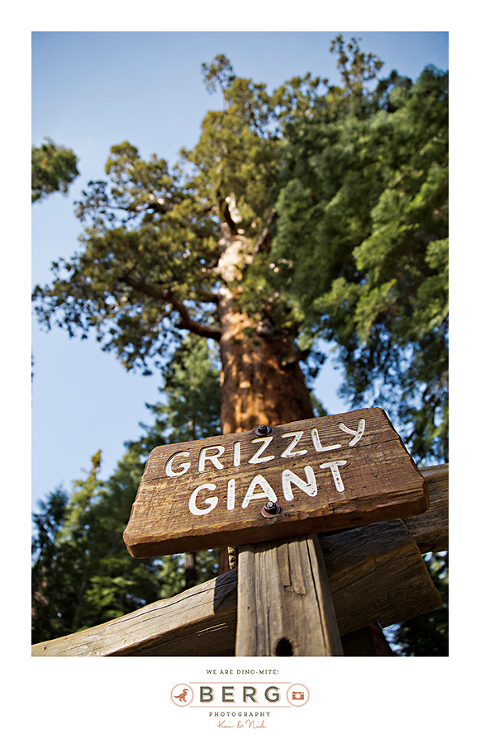 Yosemite National Park  (42)