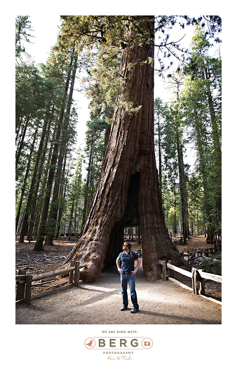 Yosemite National Park  (46)