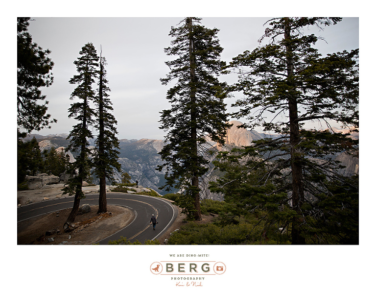 Yosemite National Park  (47)