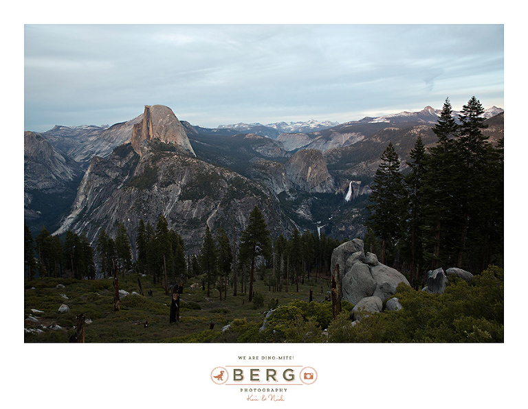 Yosemite National Park  (48)