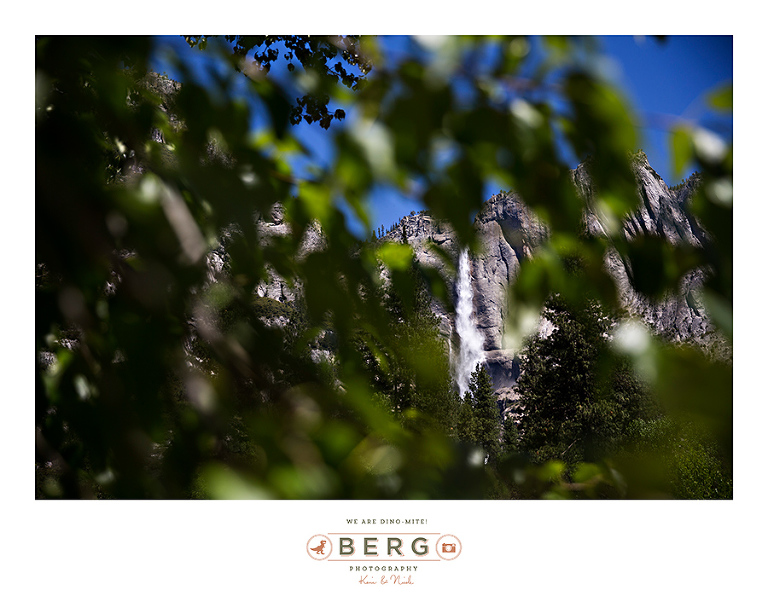 Yosemite National Park  (6)