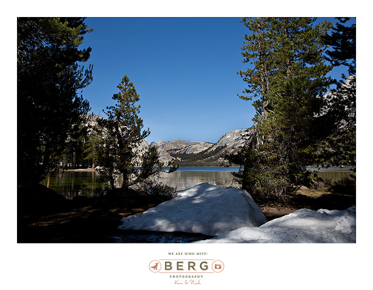 Yosemite National Park  (7)