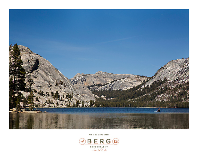 Yosemite National Park  (8)