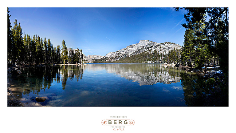 Yosemite National Park  (9)