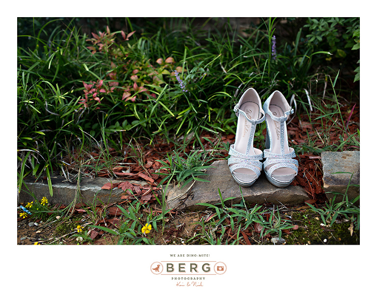 Arkansas Wedding Photographer (3)