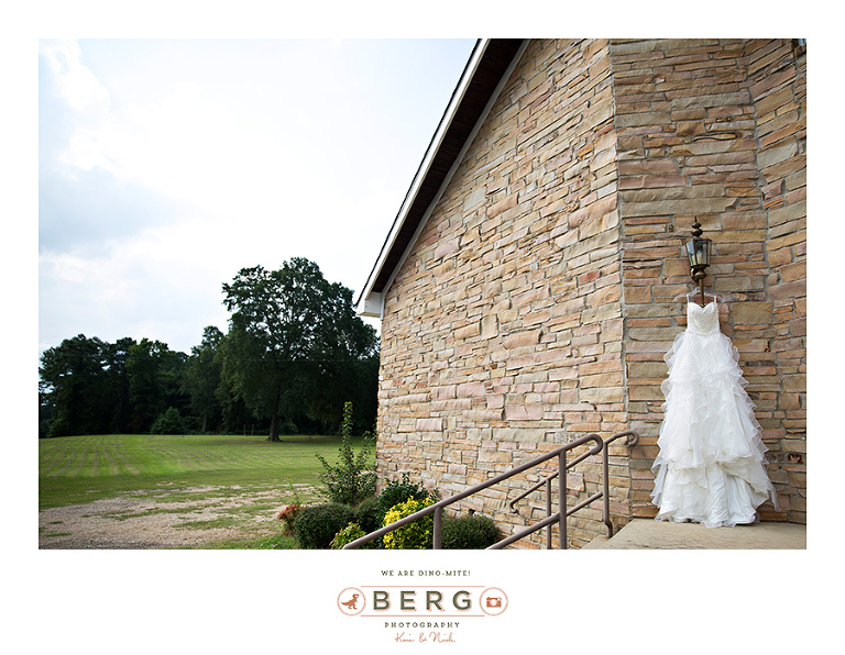 Arkansas Wedding Photographer (4)