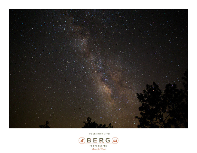 louisiana night time sky milky way star trail (1)