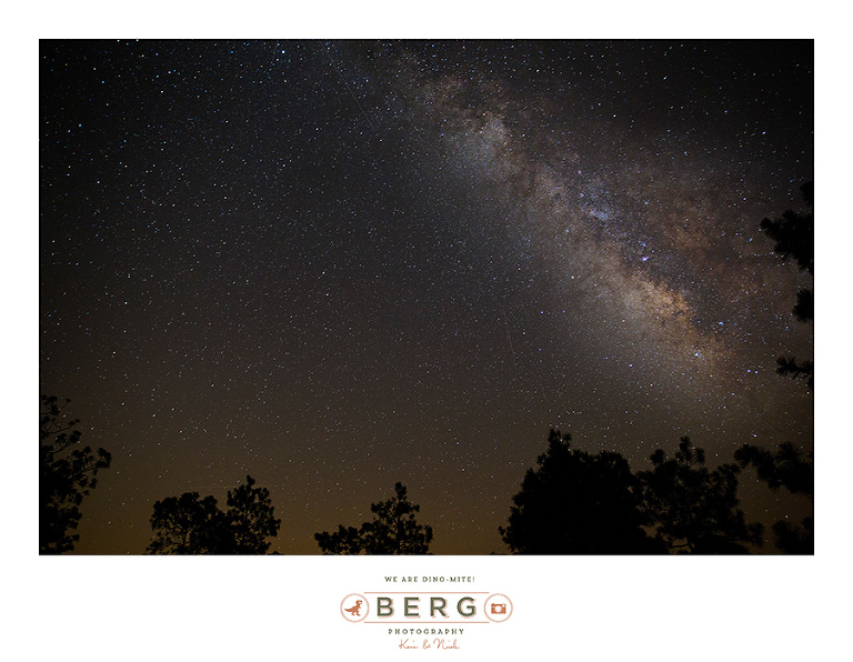 louisiana night time sky milky way star trail (2)