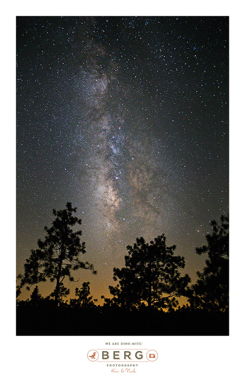 louisiana night time sky milky way star trail (4)