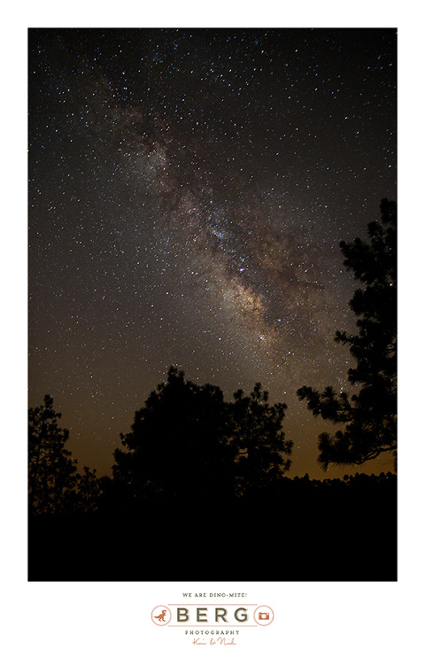 louisiana night time sky milky way star trail (5)