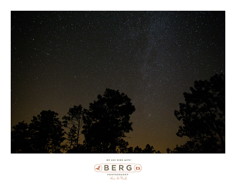louisiana night time sky milky way star trail (6)