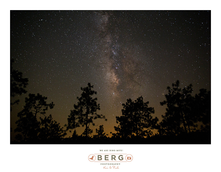 louisiana night time sky milky way star trail (8)