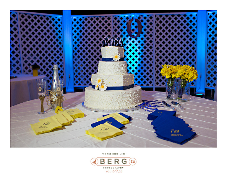 Moonlight-and-Lace-Louisiana-Wedding-Photographers-1-(3)