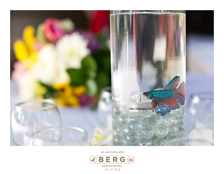 0 Tyler Texas wedding photographers (2)