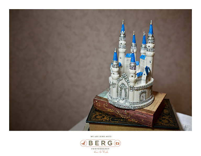 Castle Avalon Austin Texas Wedding Photographer (36)