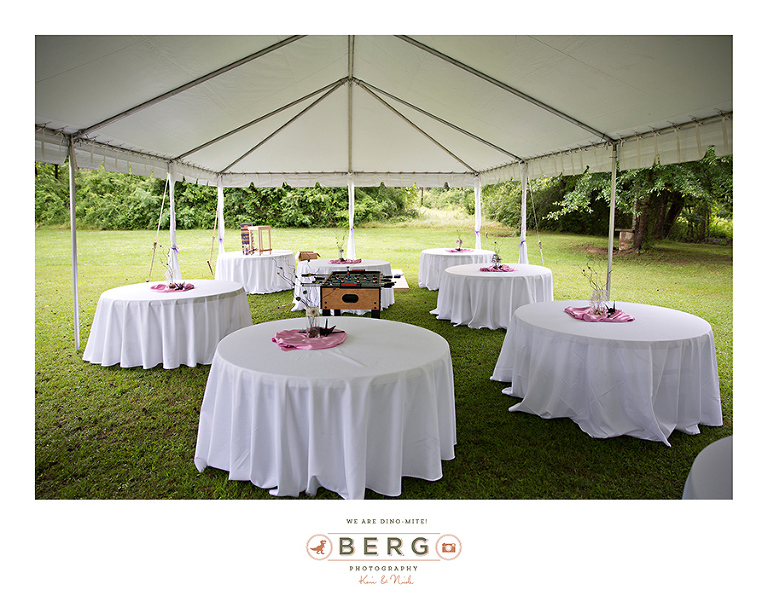 Cedar Tree Events Mansfield Louisiana wedding photographers (24)