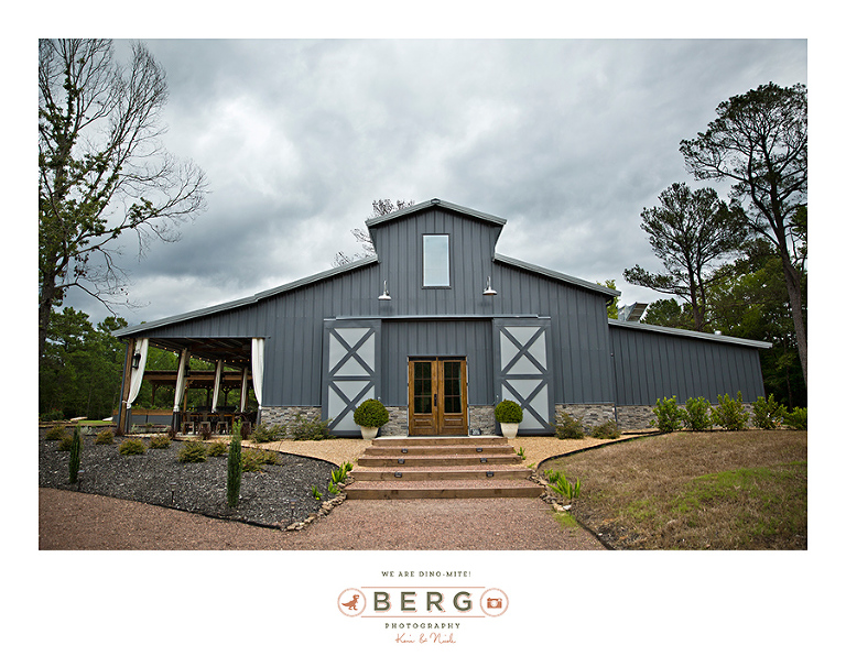 Saint Terre Benton Louisiana wedding photographers (2)