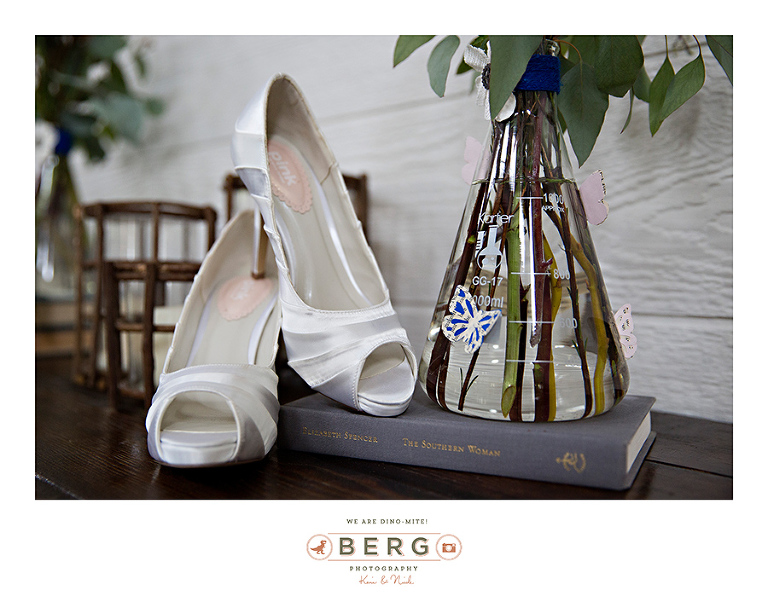 Saint Terre Benton Louisiana wedding photographers (3)