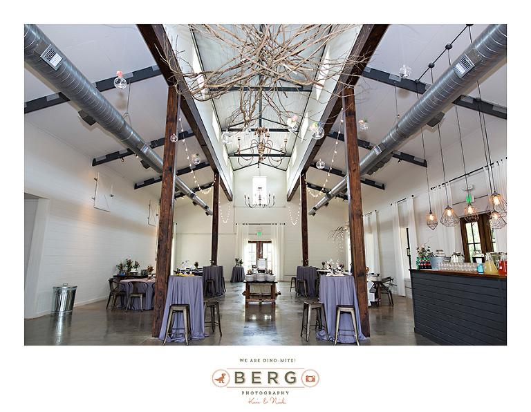 Saint Terre Benton Louisiana wedding photographers (30)