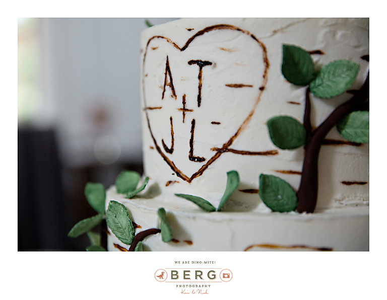 Saint Terre Benton Louisiana wedding photographers (42)