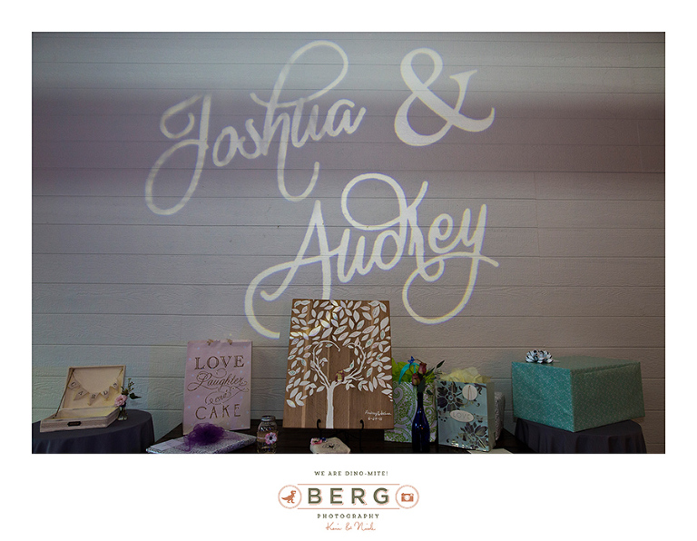 Saint Terre Benton Louisiana wedding photographers (46)