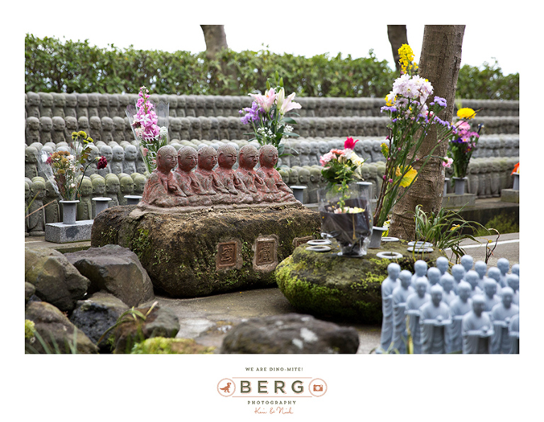 Japan Travel Photography (102)