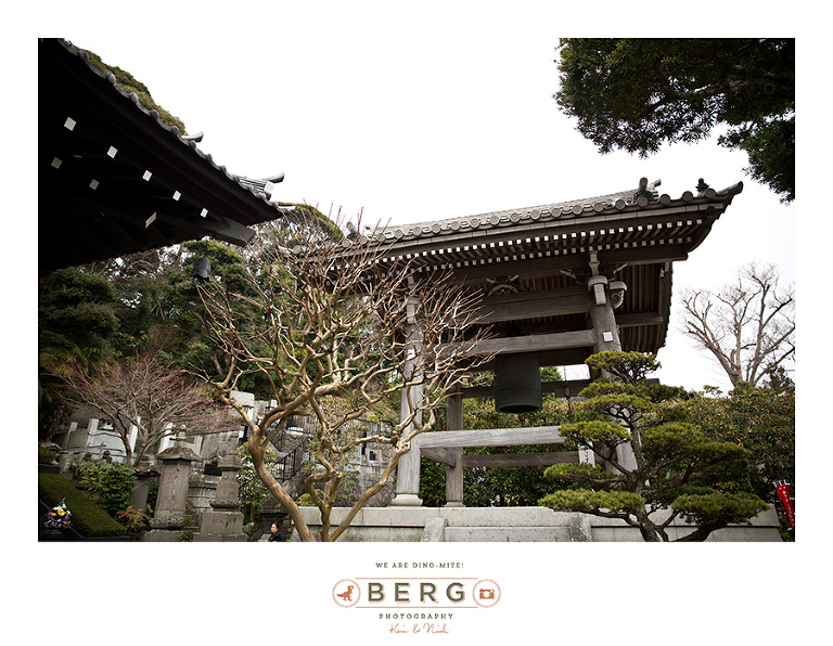 Japan Travel Photography (104)