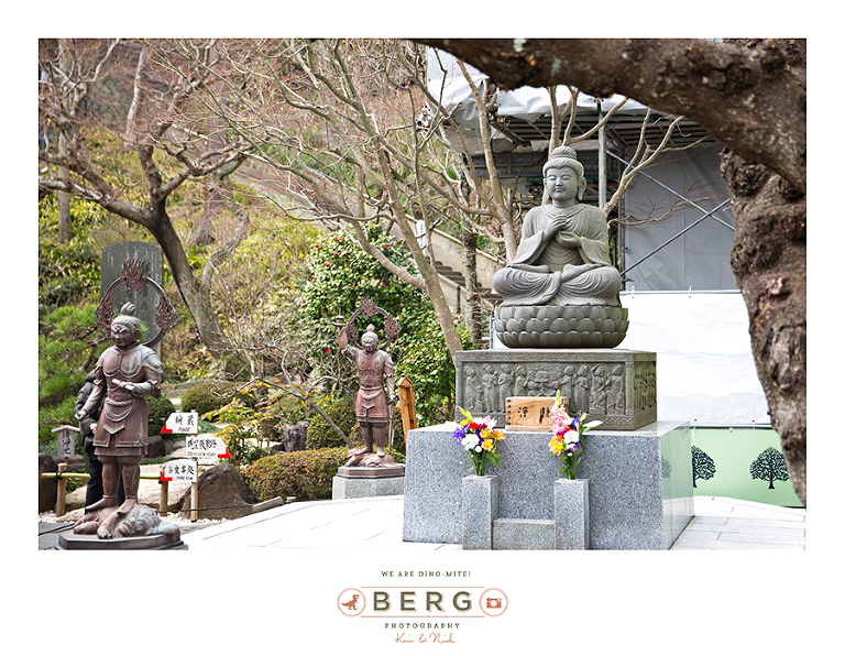 Japan Travel Photography (107)