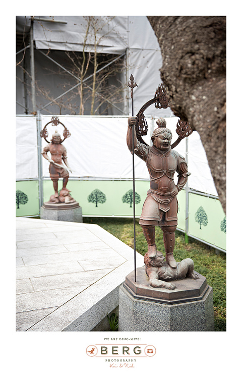 Japan Travel Photography (109)